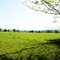 pasture scene www.Huntsville-Homes.com all rights reserved