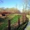 Flint River Greenway