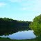 Sunfish Pond Powhatan Virginia