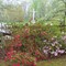 Sacred Heart cemetery