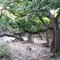 My creek!