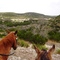 Hill Country