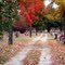 Maplewood Cemetery