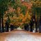 Maplewood Cemetery