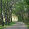 Ennis Texas Bluebonnet Trails
