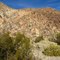 Darwin Canyon Walls
