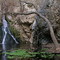 Darwin Falls
