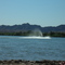Roostertail