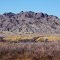 Imperial National Wildlife Refuge, Arizona, on the lower Colorado River. Picacho Mountains in background (inside California)