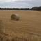Hay field