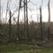 Tornado Track April 16, 2011