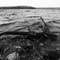 Facing West from the shore, April 3rd 2010