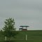 Sugarcreek, Lonely Horse