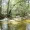 Hobbs Creek