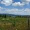 Holston Mt from Shady Valley