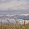 Shady Valley with Iron Mountains in distance