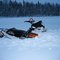 Trapper Creek Alaska