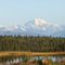 Denali Panorama