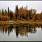 Petersville Rd, Trapper Creek 20.9.2010 ... C