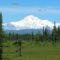 Mt McKinley -Petersville Rd AK 7-7-2010