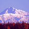 MT. McKINLEY