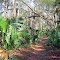Wekiwa Springs State Park