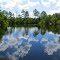 Sand Lake (07/2012)