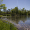 Looking south at our pond
