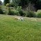 Topsoil NJ