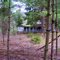 Abandoned house near Adams Creek