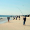 Good day of fishing