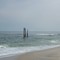 L.B.I. Shore, NJ