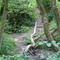 Indianerschlucht Uttenreuth