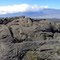 Old lava flow from Mauna Loa with Mauna Kea in the distance to the north