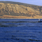 San Miguel Island