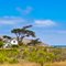 Ranch House, Santa Rosa Island,Channel Islands National Park