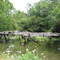 Gate Ditch