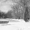 Snow...