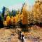 Aspen Trail north 3 WC 800X600