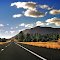 Road To Dream