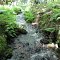 stream