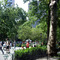 Madison Square Park