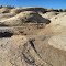 Slickrock Wonderland at Gooseberry Mesa