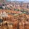 Bryce Canyon NP