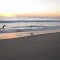 Sandbridge-Virginia