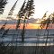 Sandbridge-Virginia beach