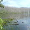 Keokee Lake