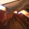 looking up to find sunlight