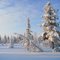 Siberia Jamal region