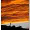 Saguaro Sunrise
